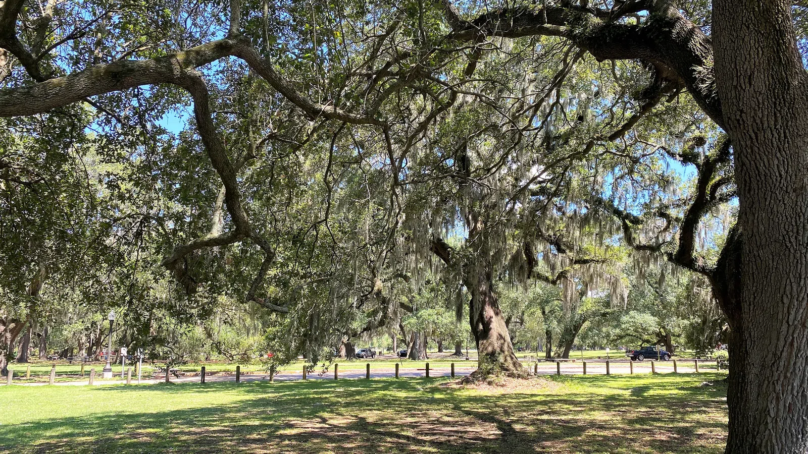 Mardi Gras Comes to City Park With ?Floats in the Oaks?