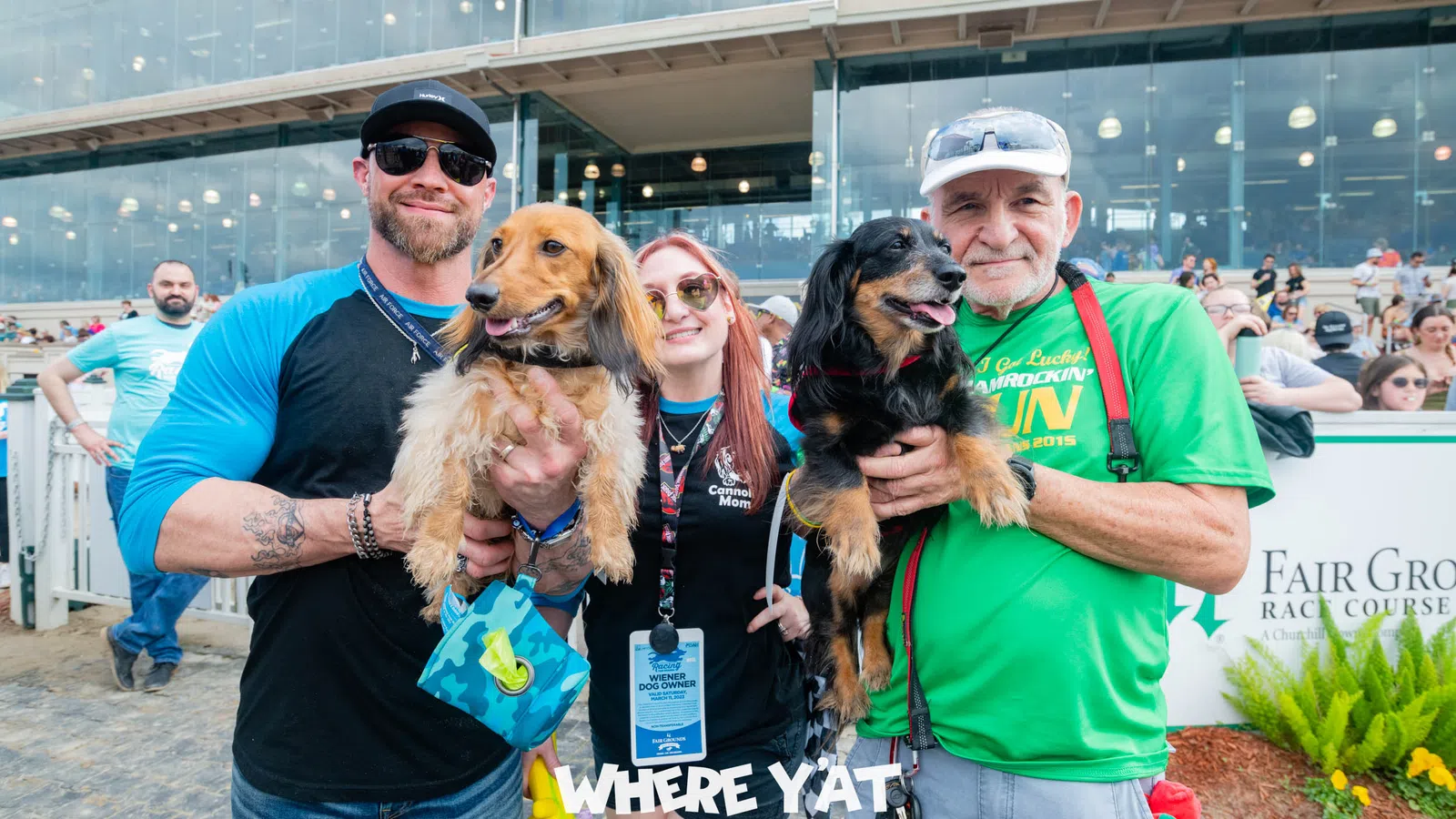 a group of people holding dogs