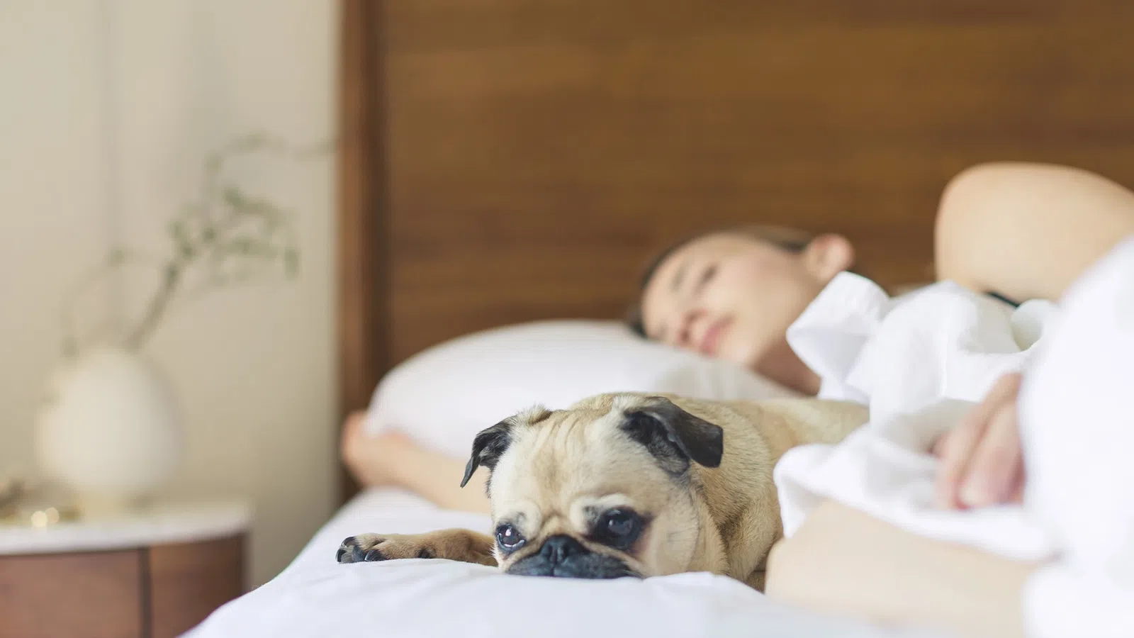 a baby and a dog lying on a bed