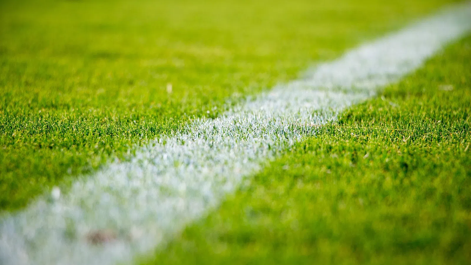 a close-up of a grass field