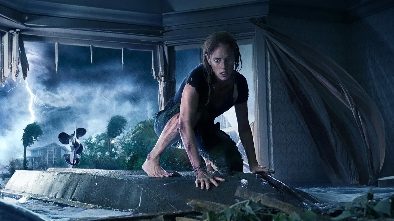 Film Review: Crawl