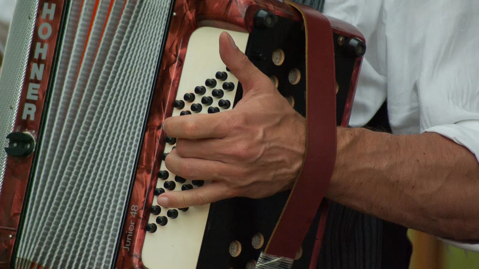 a person playing an instrument