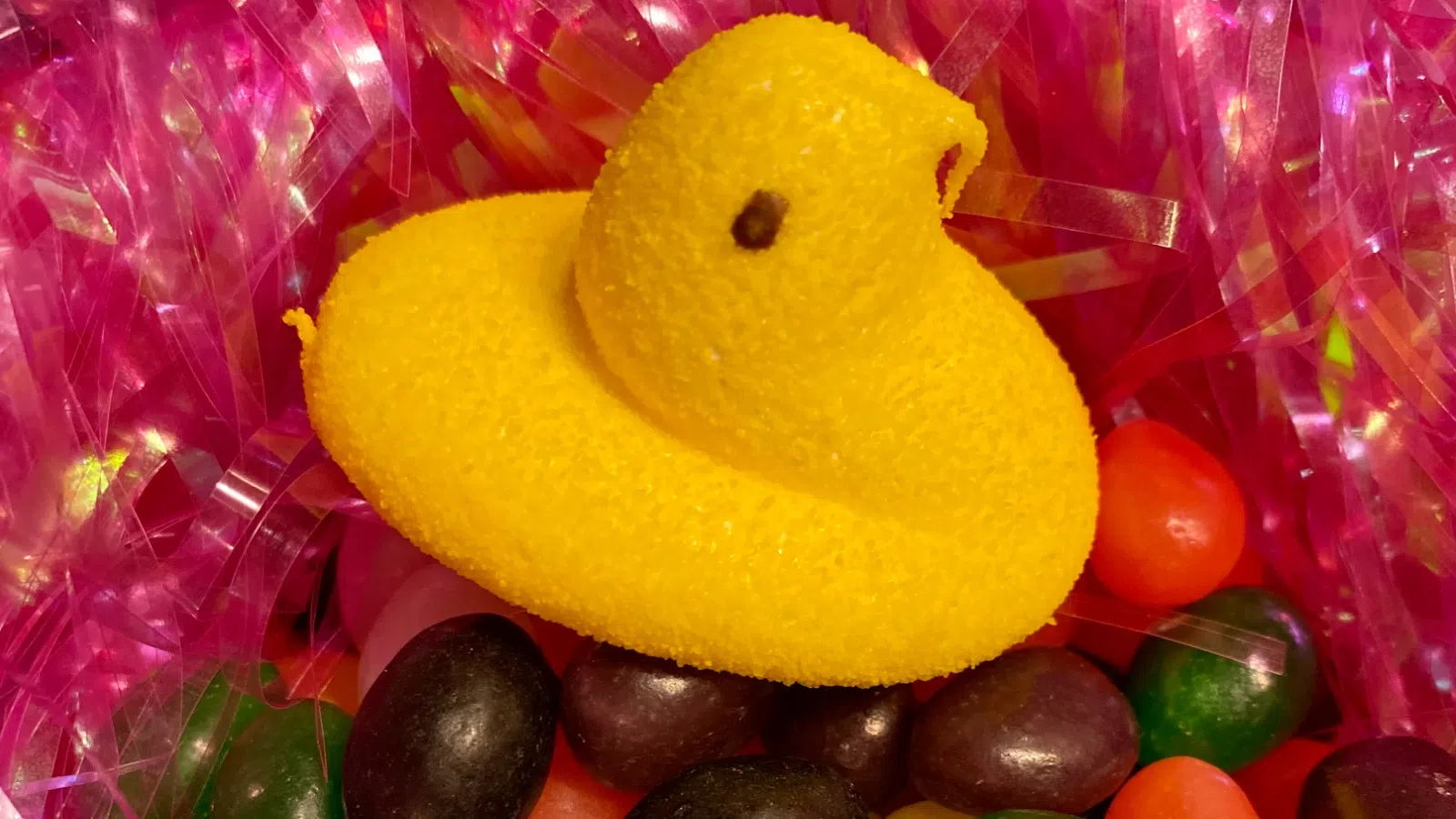 a yellow stuffed animal in a bag of candy