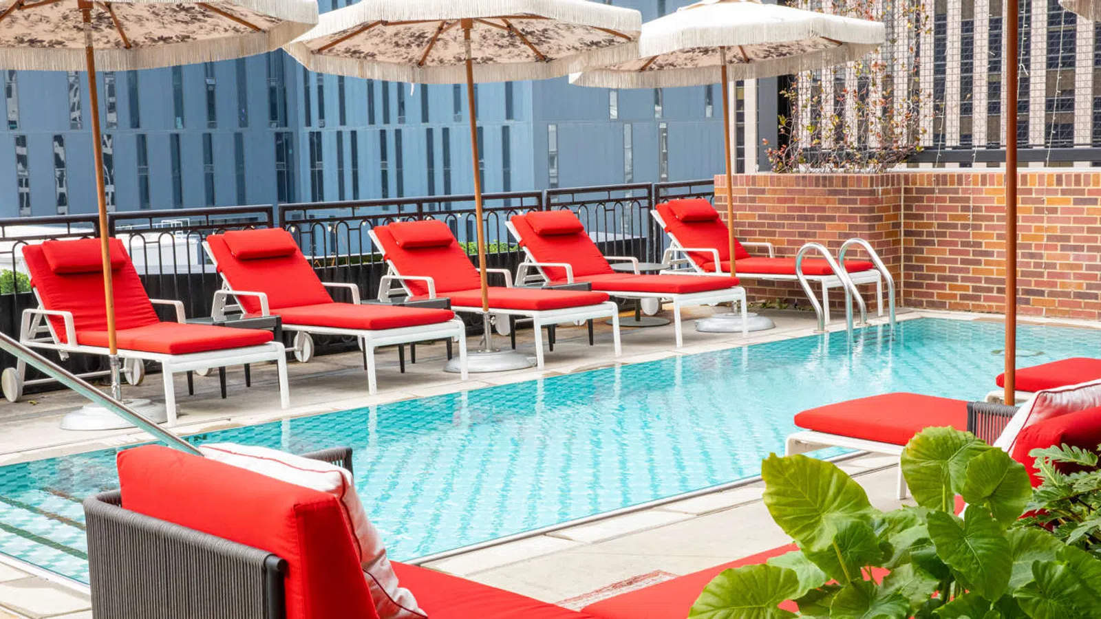 Rooftop pool area with red lounge chairs, white umbrellas, and urban cityscape in the background.