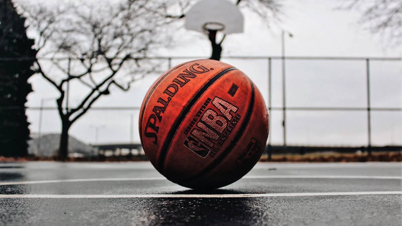 Tulane University Basketball Star Charged With Murder