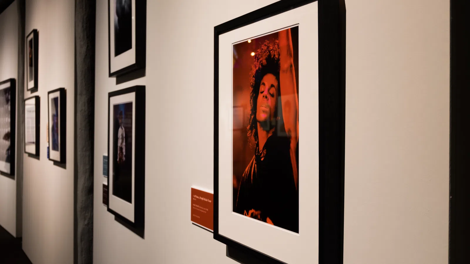 Five New Orleans Museums to Visit