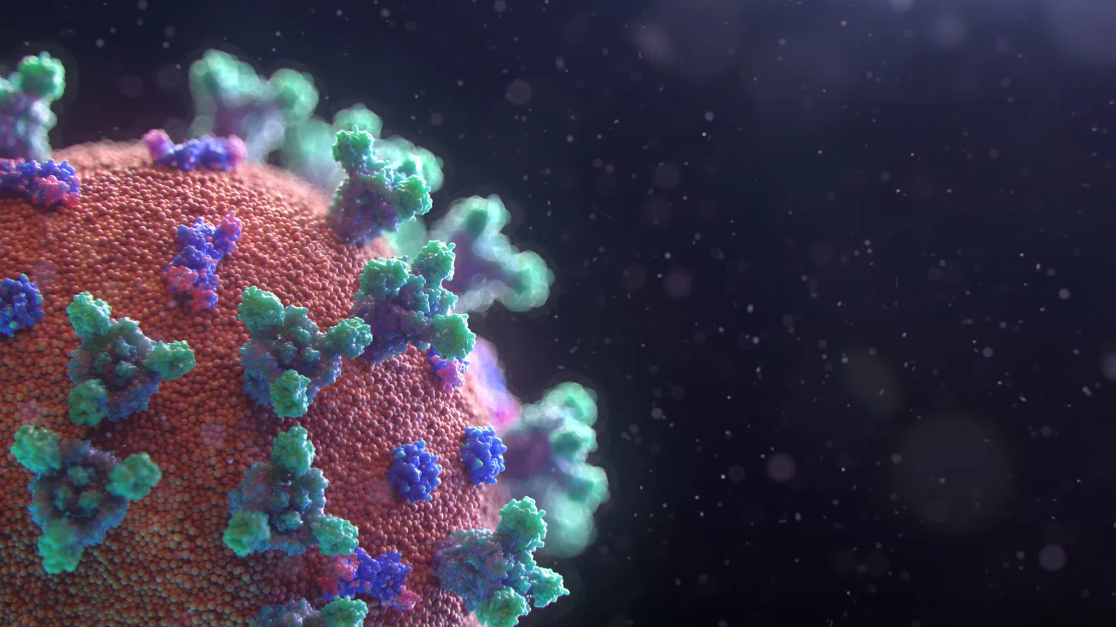 Did Mardi Gras Incubate the Coronavirus?