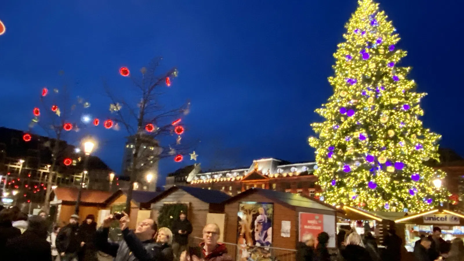 Where Can You Find the World?s Most Popular Christmas Trees?