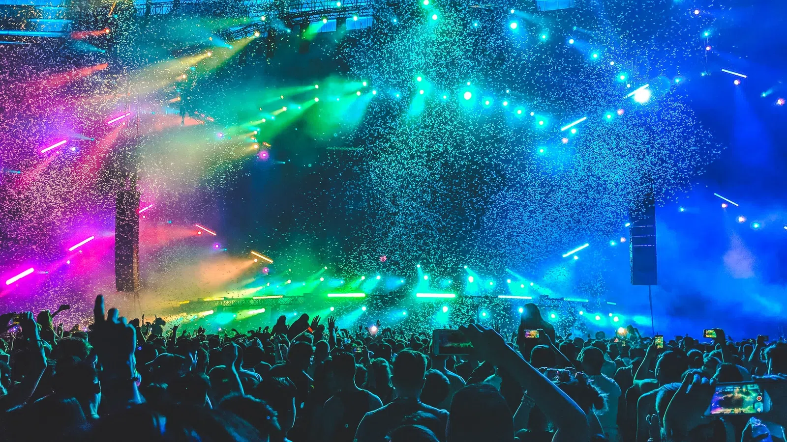 a crowd of people at a concert
