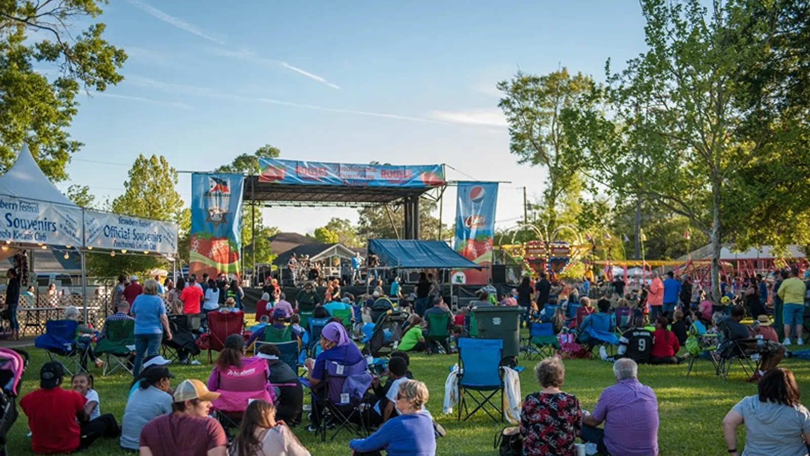 a group of people sitting on the grass watching a band play