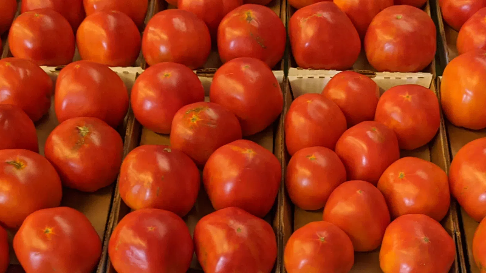 Buying the Farm: Shopping Local Farmstands and Farmers Markets