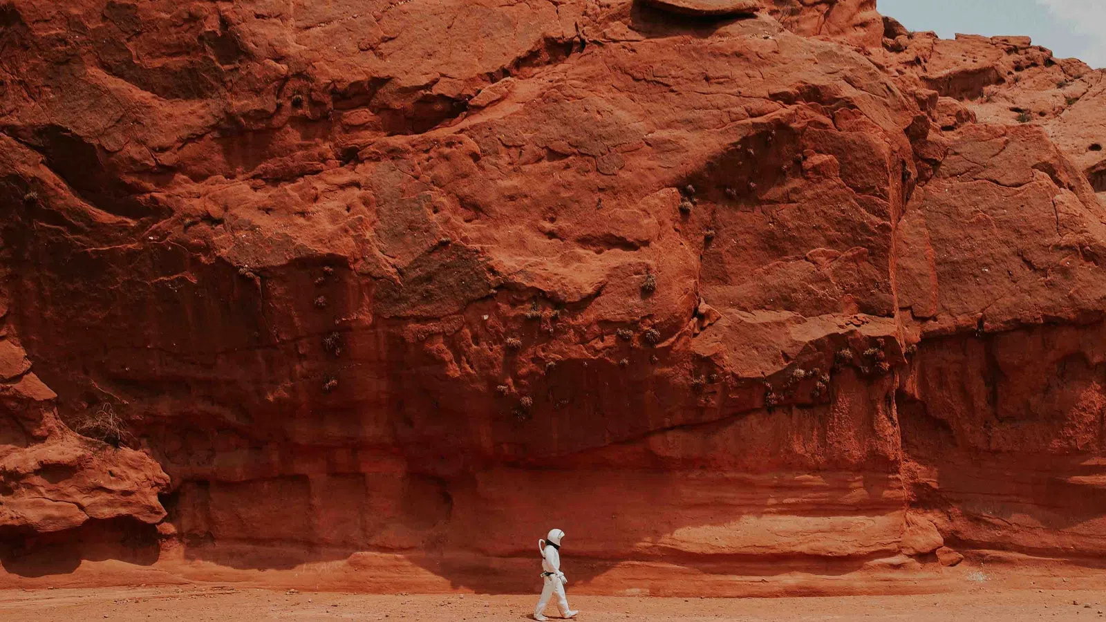 Future Cowboys? Life on Mars Album is Out of This World