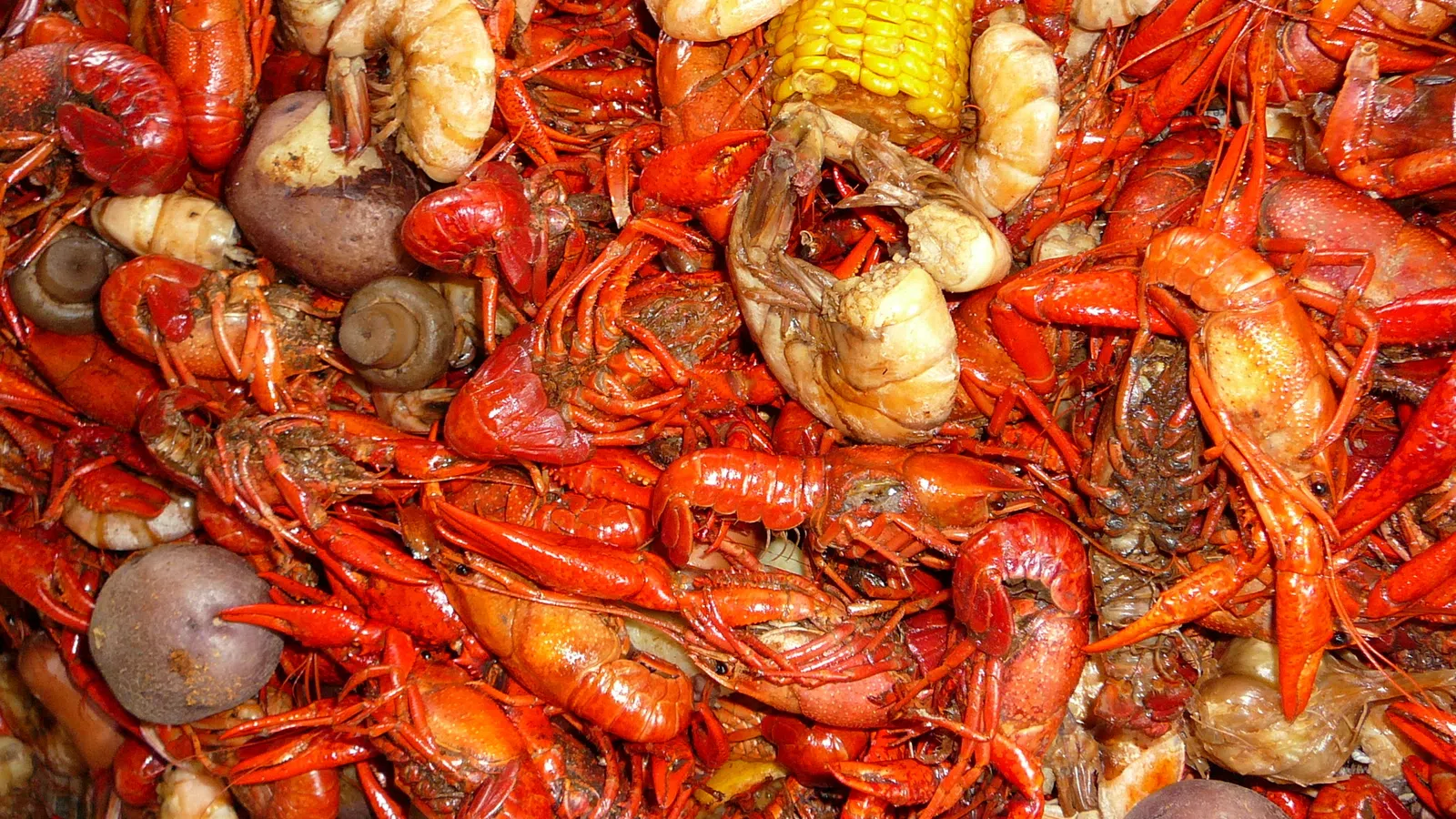Native Nibbles: Exotic Foods of New Orleans and Louisiana