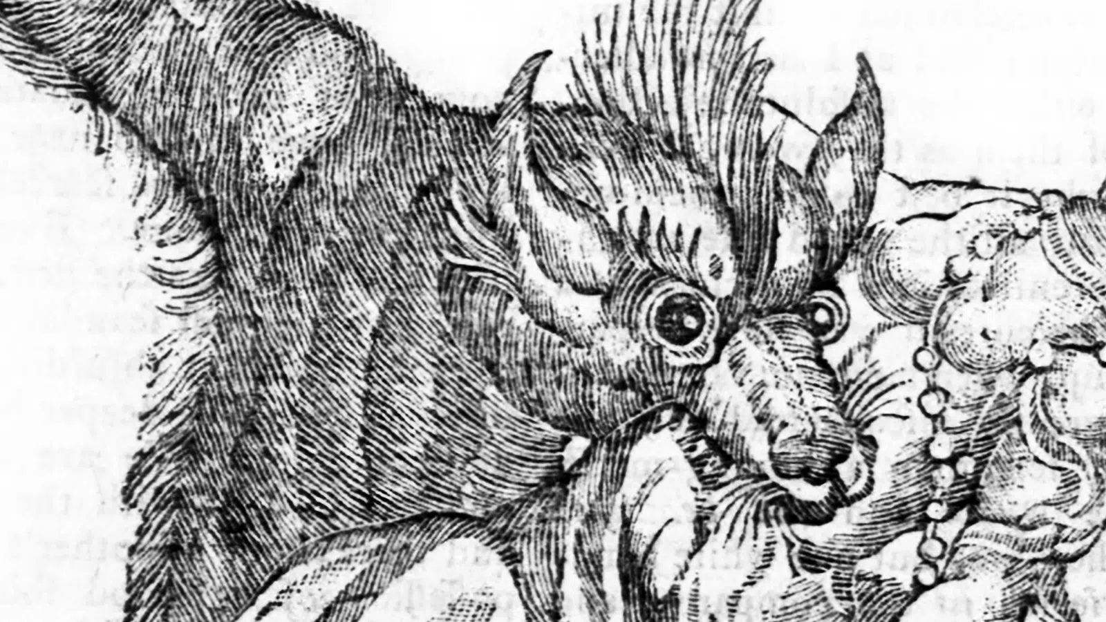 The Rougarou is  Gonna Get You: Cajun Folklore