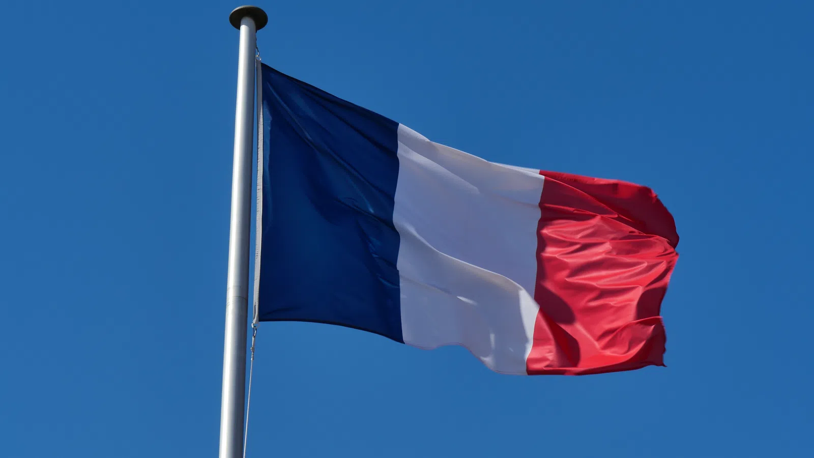 a flag on a pole