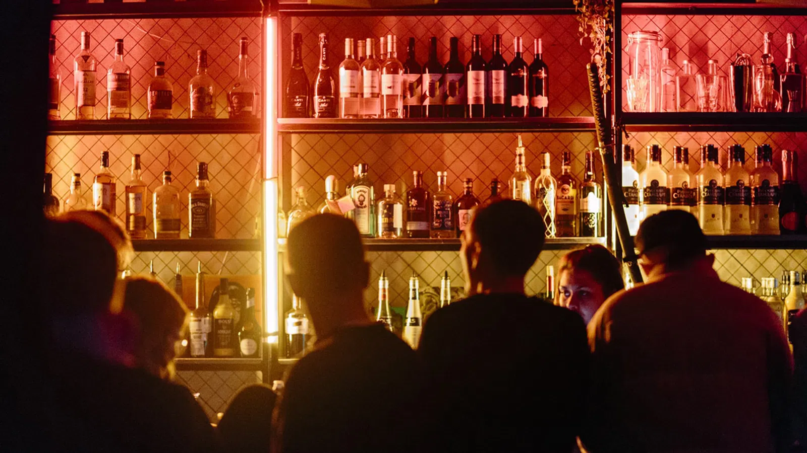 Krewe of Red Beans Announces Bean Coin Plan to Save Local Bars