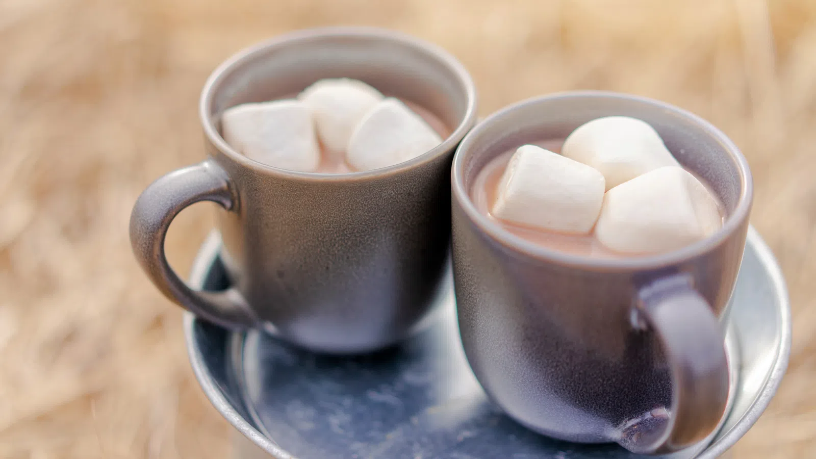 Five Spots for Hot Chocolate on National Cocoa Day