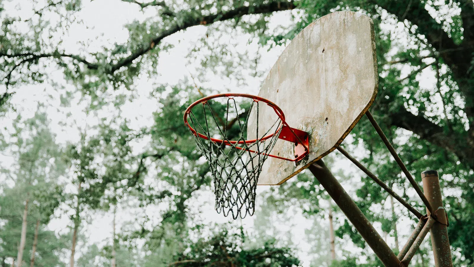NOLA has Wiiings: Redesigning the Basketball Scene in New Orleans