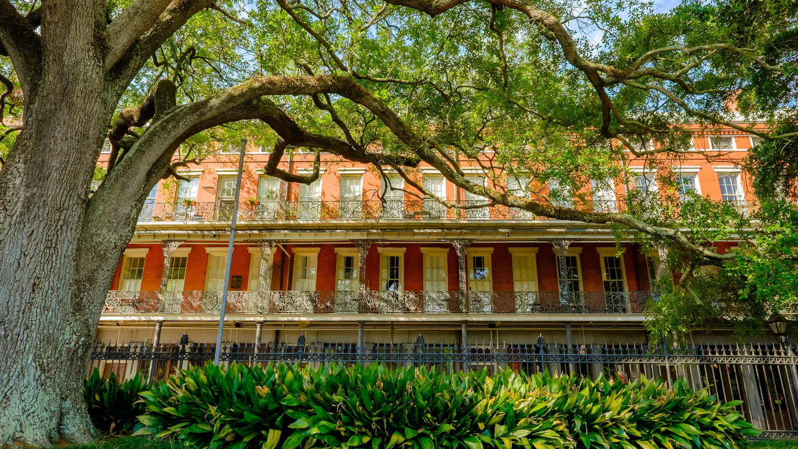 Historic red brick building with intricate iron balconies, large tree and lush green plants in foreground