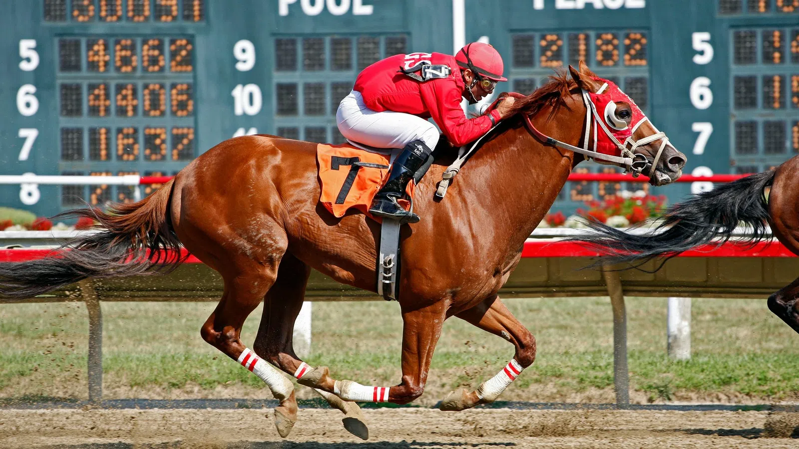 A jockey in red racing gear rides a chestnut horse at a horse racing track, showing speed and excitement.