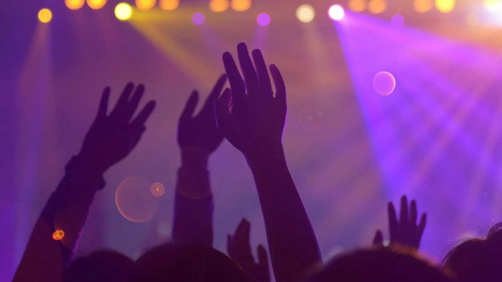 a crowd of people with their hands up in the air