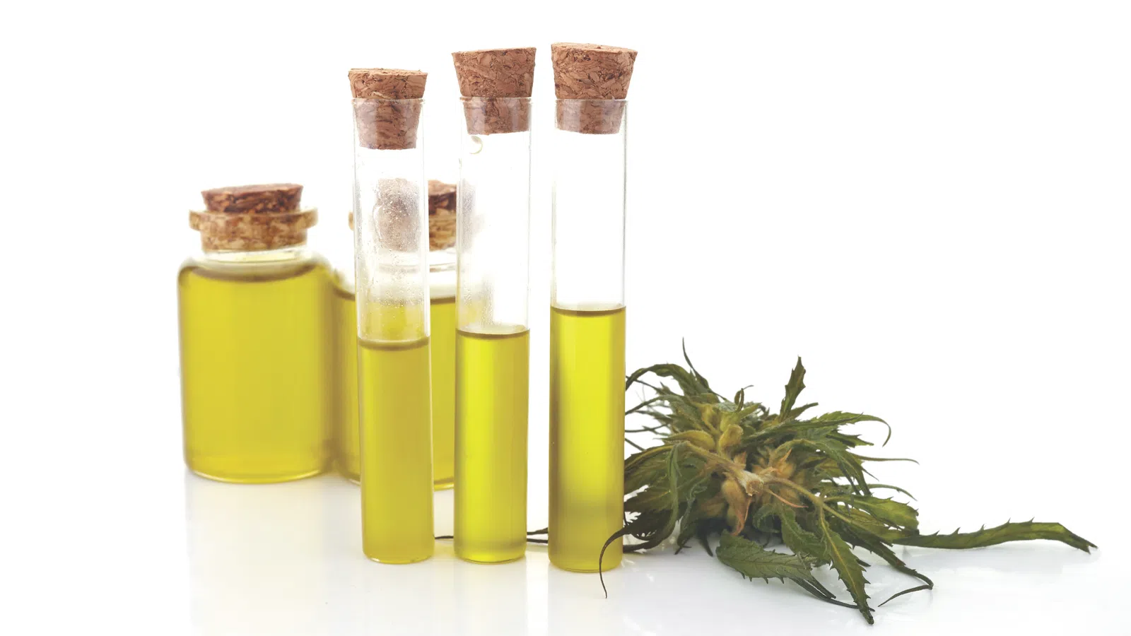 The Other CBD: CBD Shops to Visit  in the Crescent City