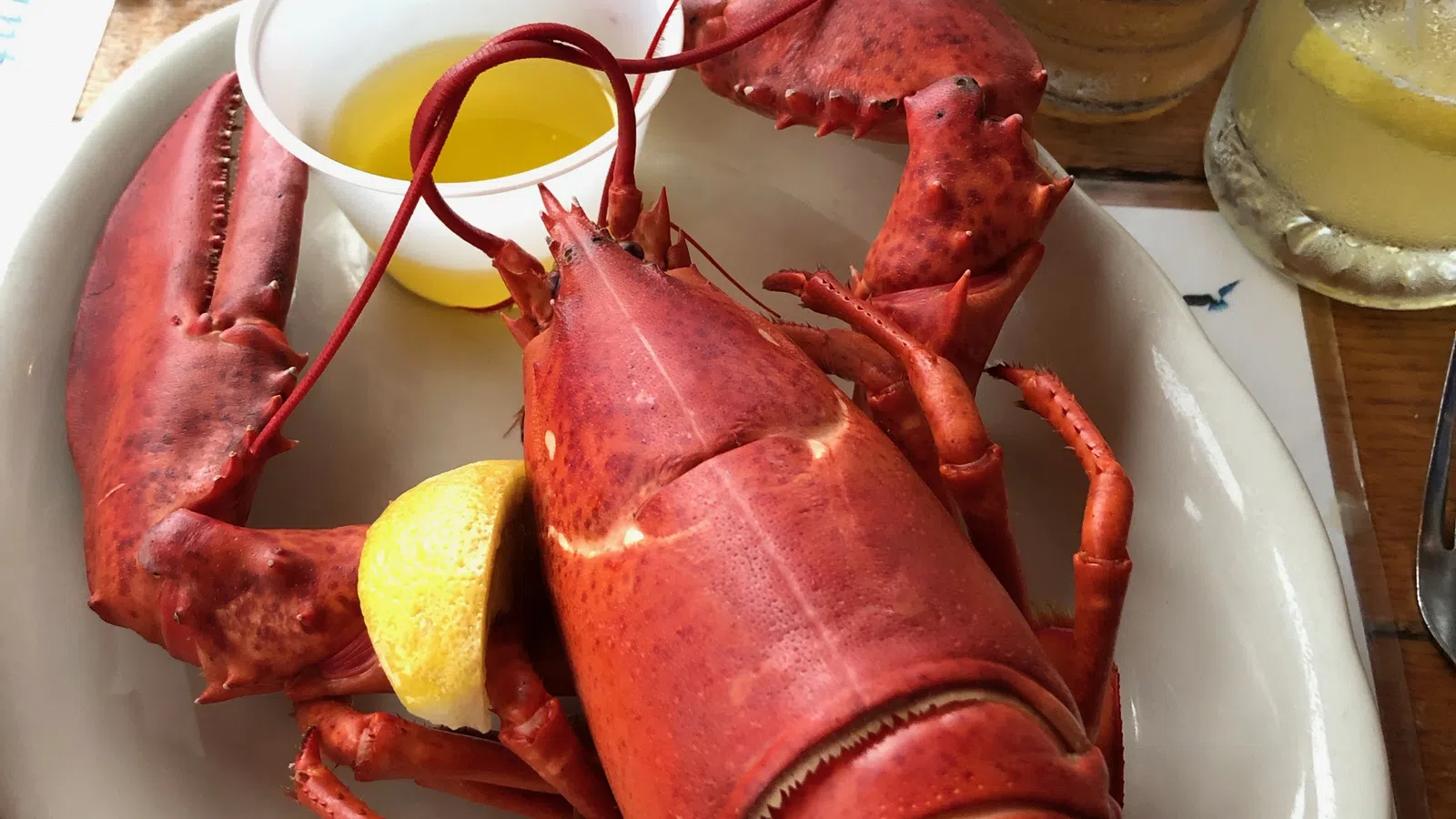 Maine: Land of the Giant Crawfish