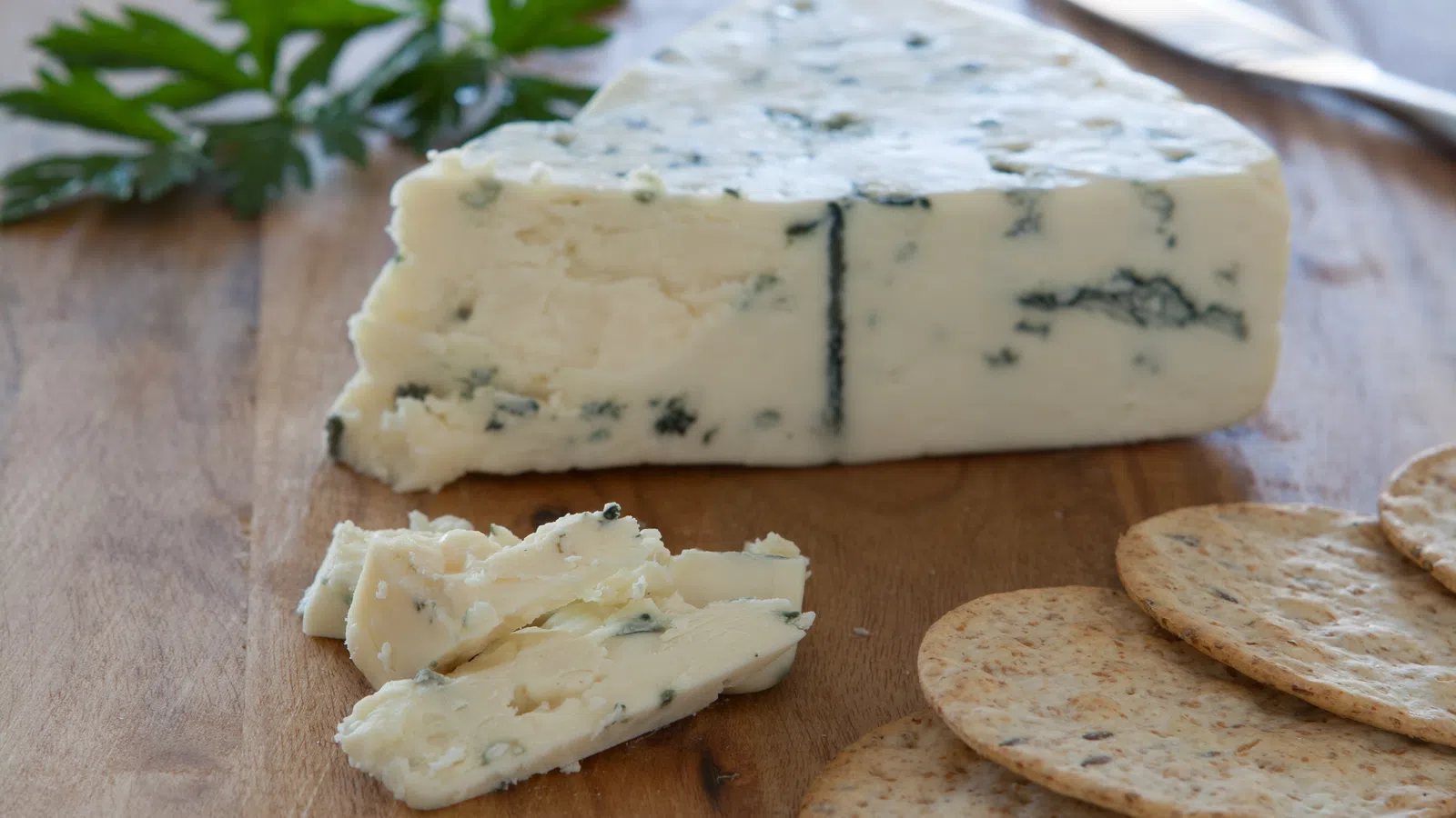 Blue Cheese and Sour Brews Pairing with St. James Cheese Company