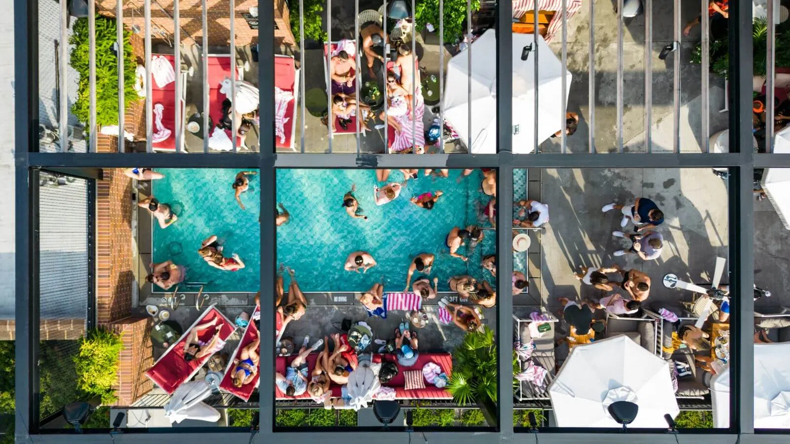a group of people in a pool