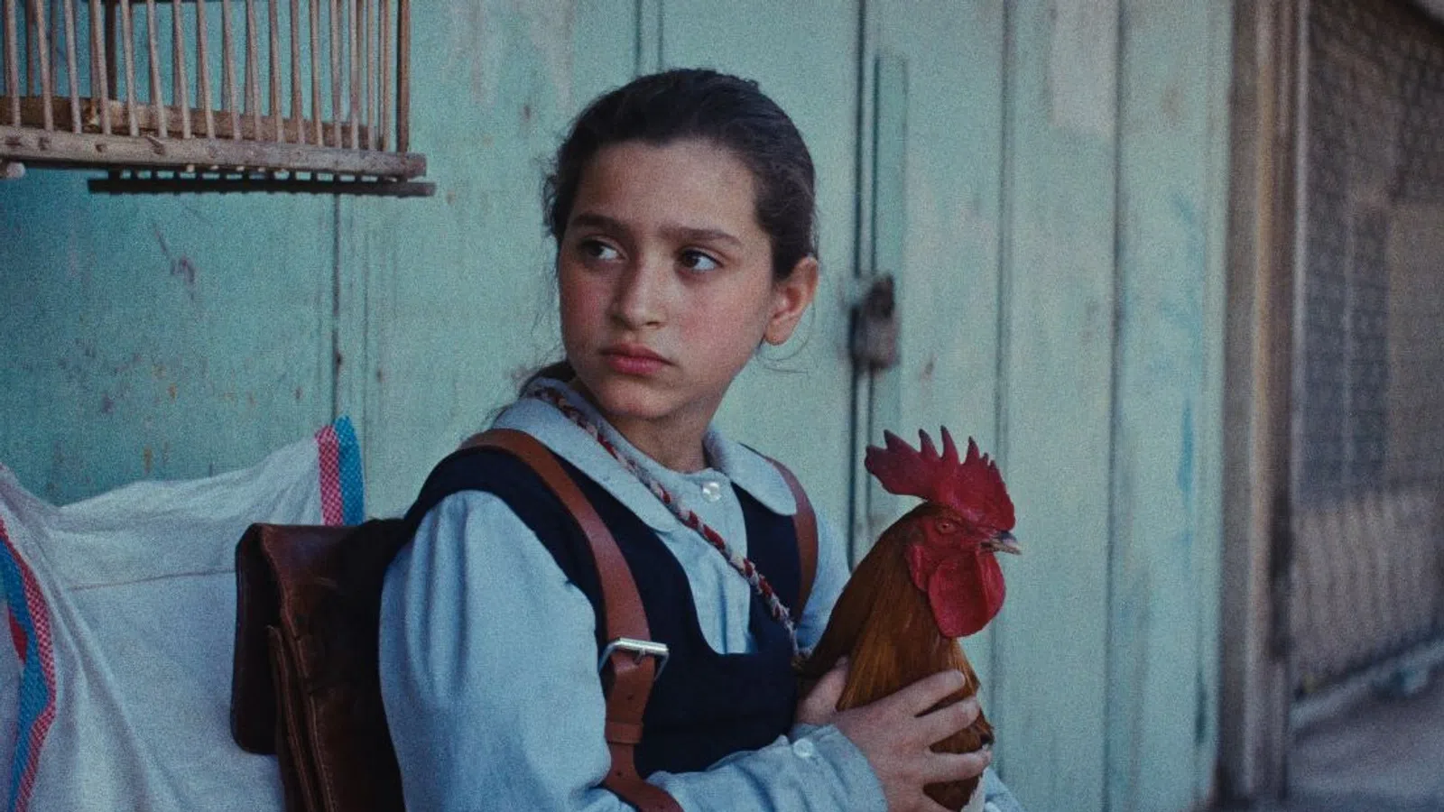 Young girl holding a rooster while sitting outdoors against a weathered wooden wall.