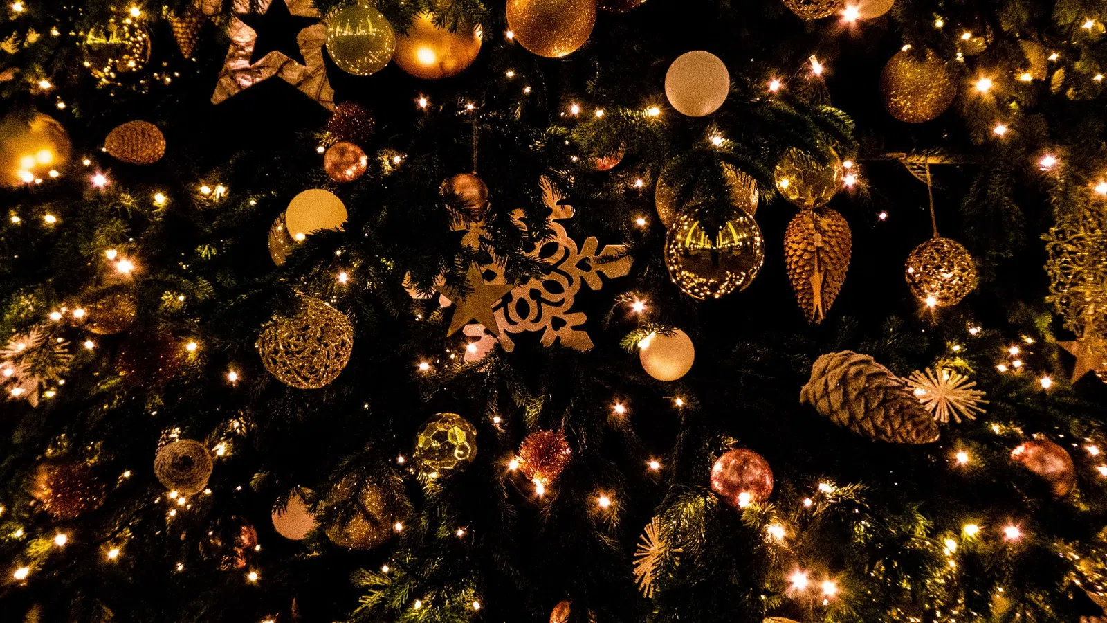 a tree with lights and ornaments