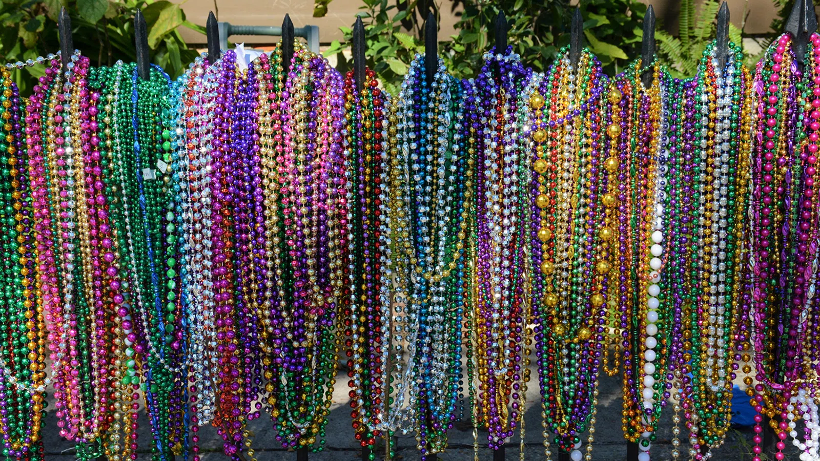 LSU Biologist Creates 