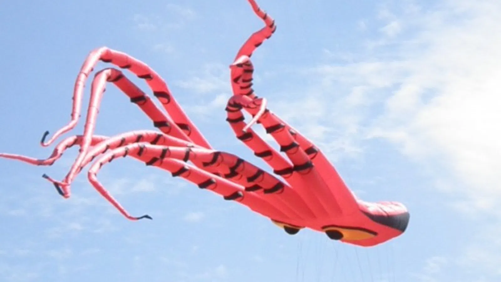a kite flying in the sky