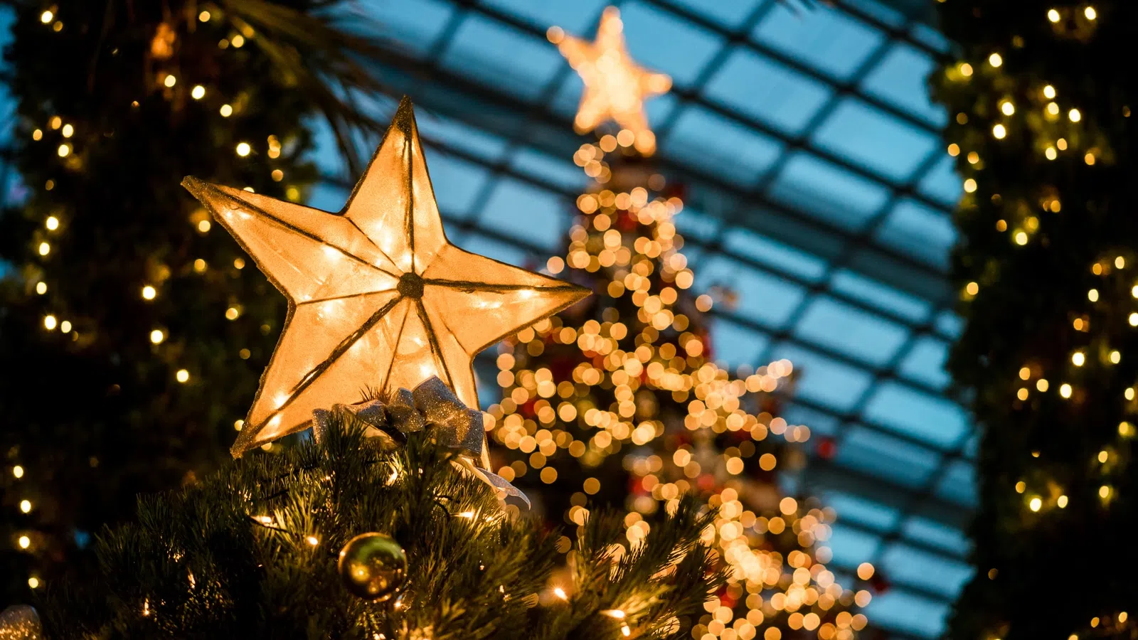 a christmas tree with a star