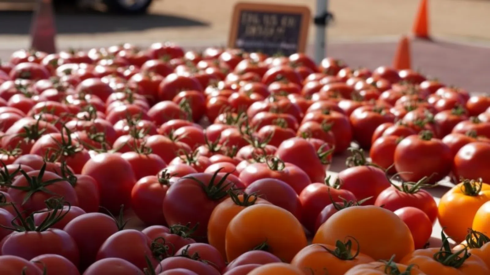 a pile of tomatoes