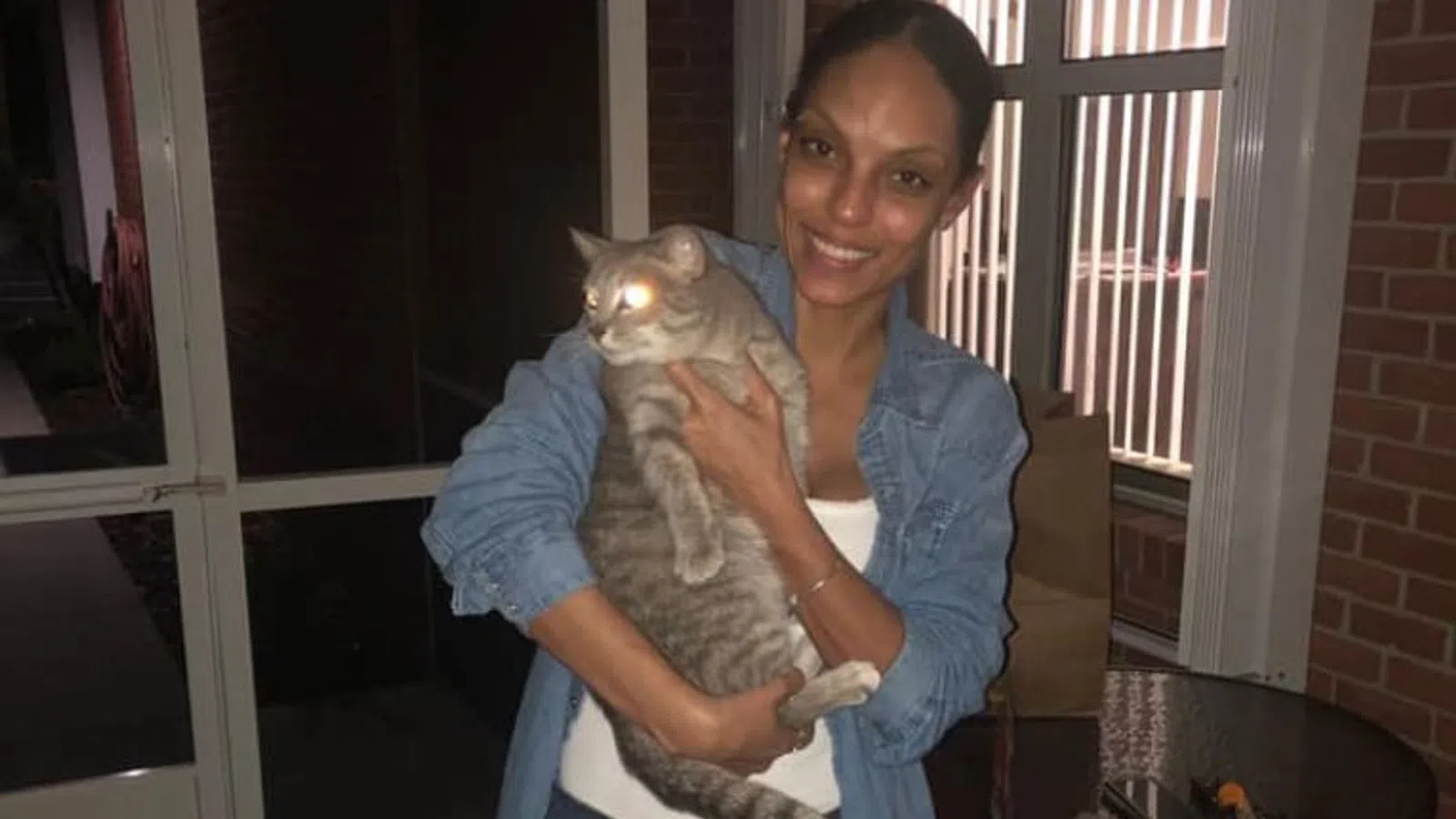 Cat, Missing for 2 Years, Returns to Tampa Family For Christmas