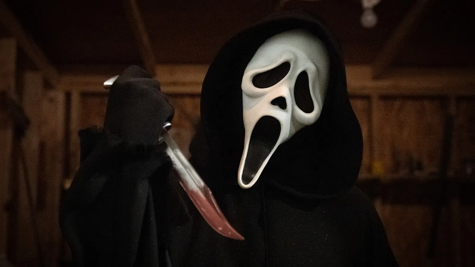 a person wearing a mask