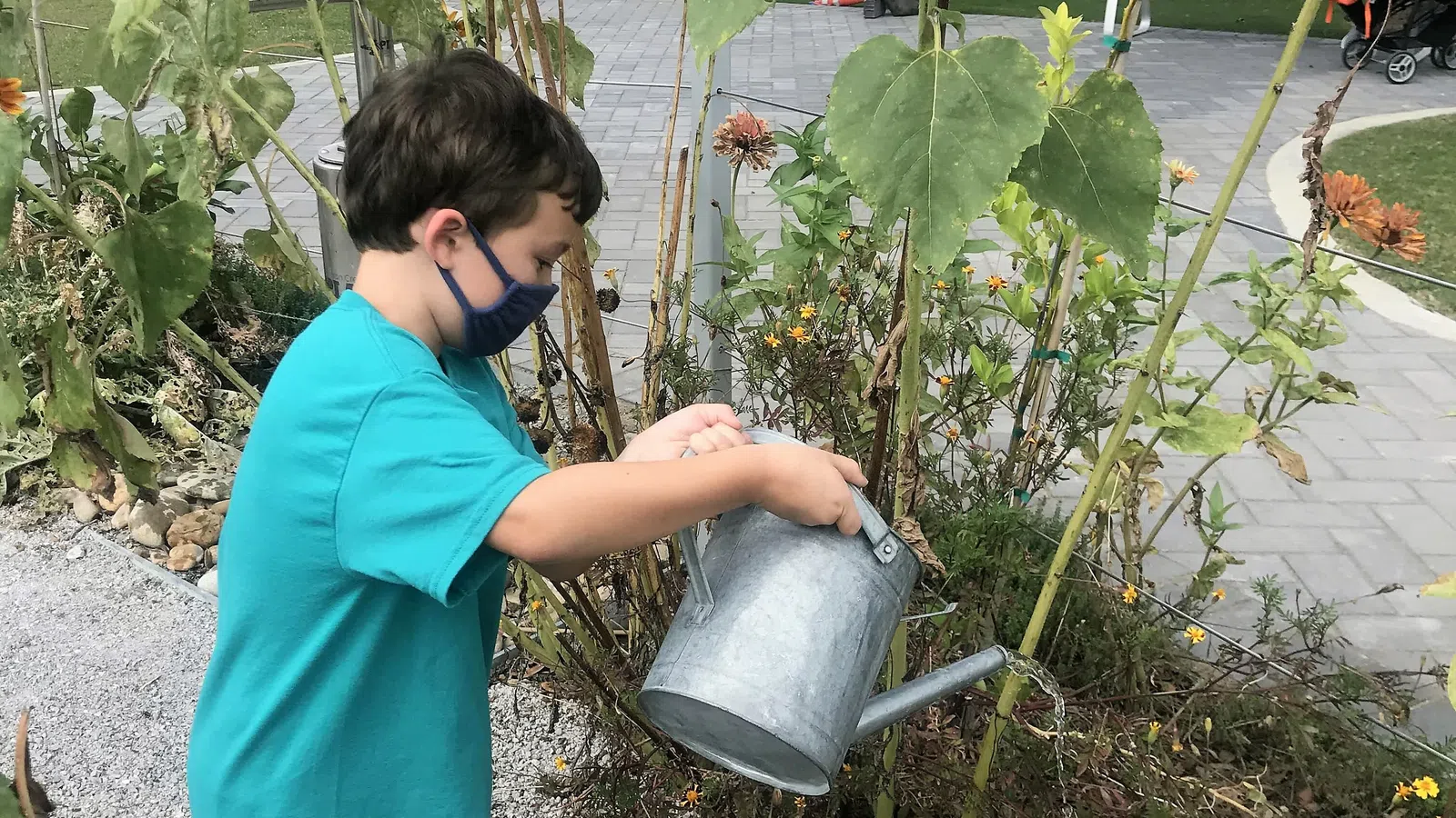 Culture for Free: Louisiana Children?s Museum Offering Free-Admission Saturdays