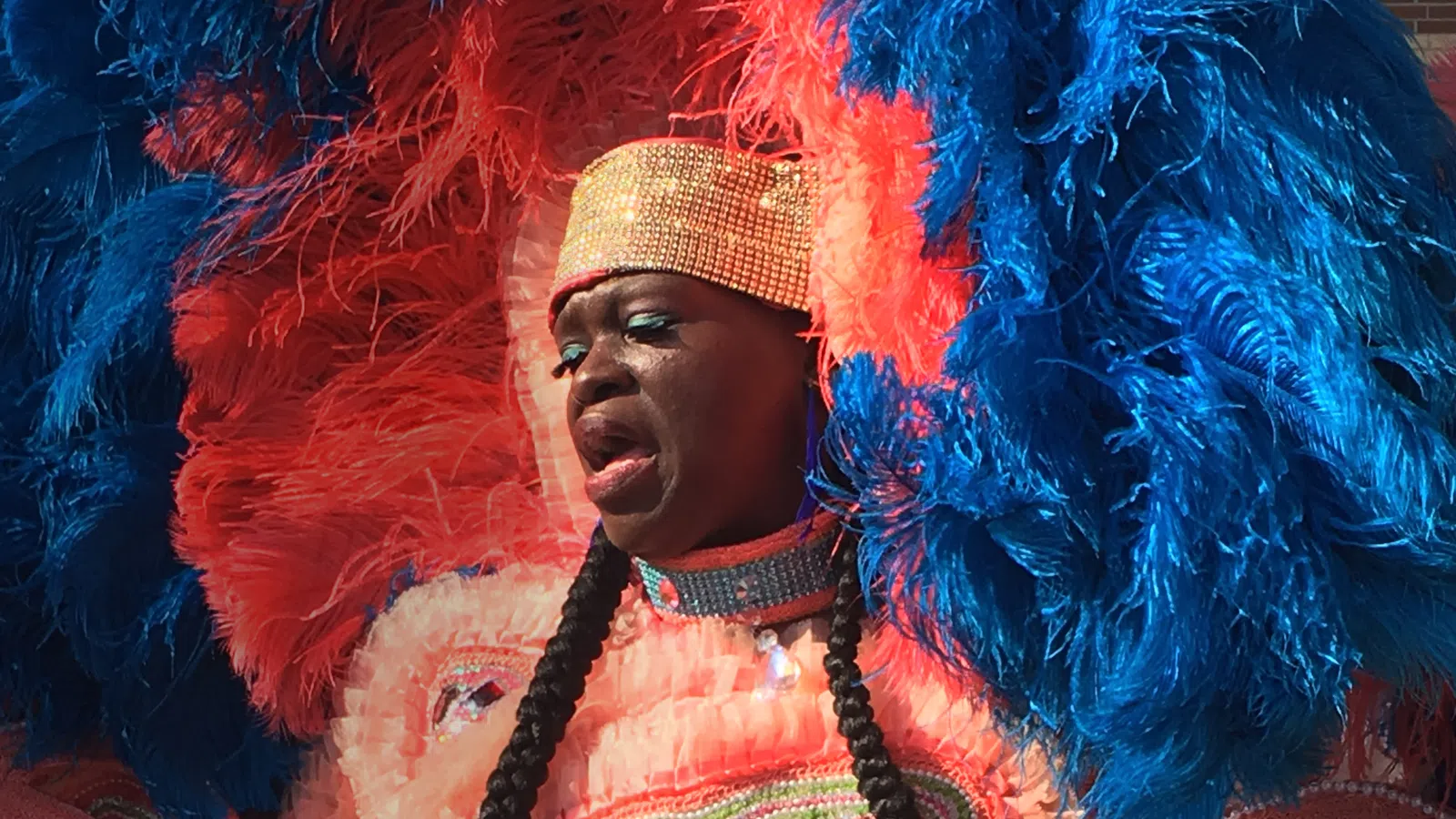 The Colorful History of the Masking Mardi Gras Indians
