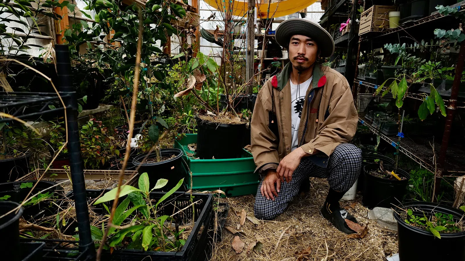 a person sitting in a garden