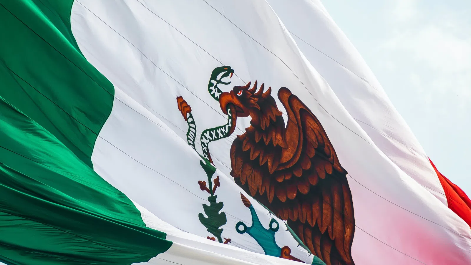 Free Outdoor Cinco de Mayo Fiesta at Zócalo Cocina