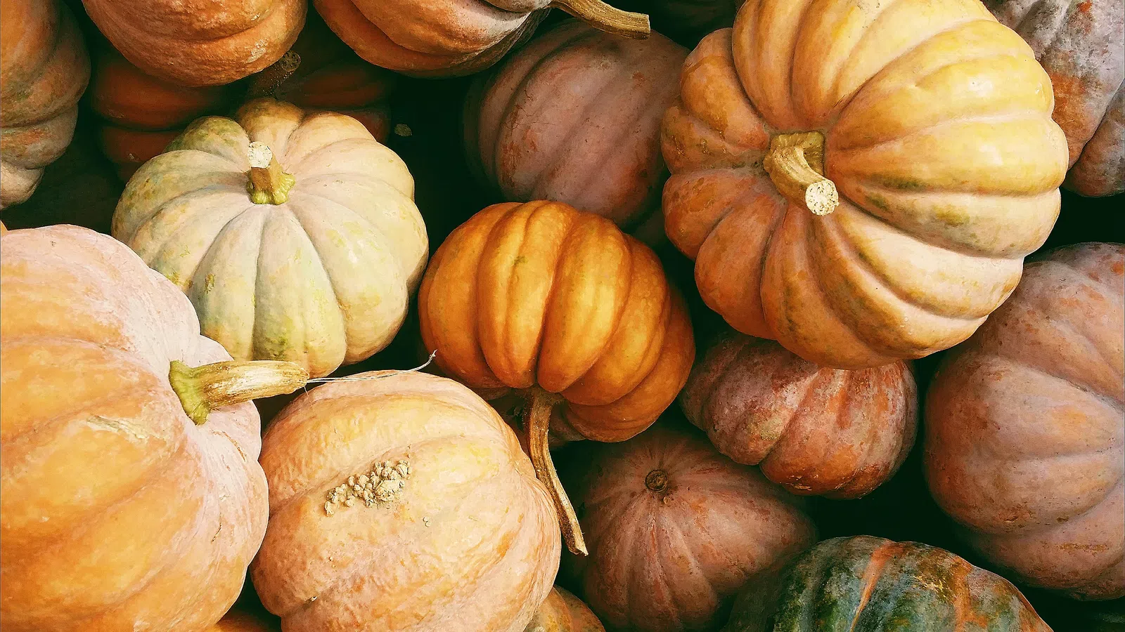 October 17th