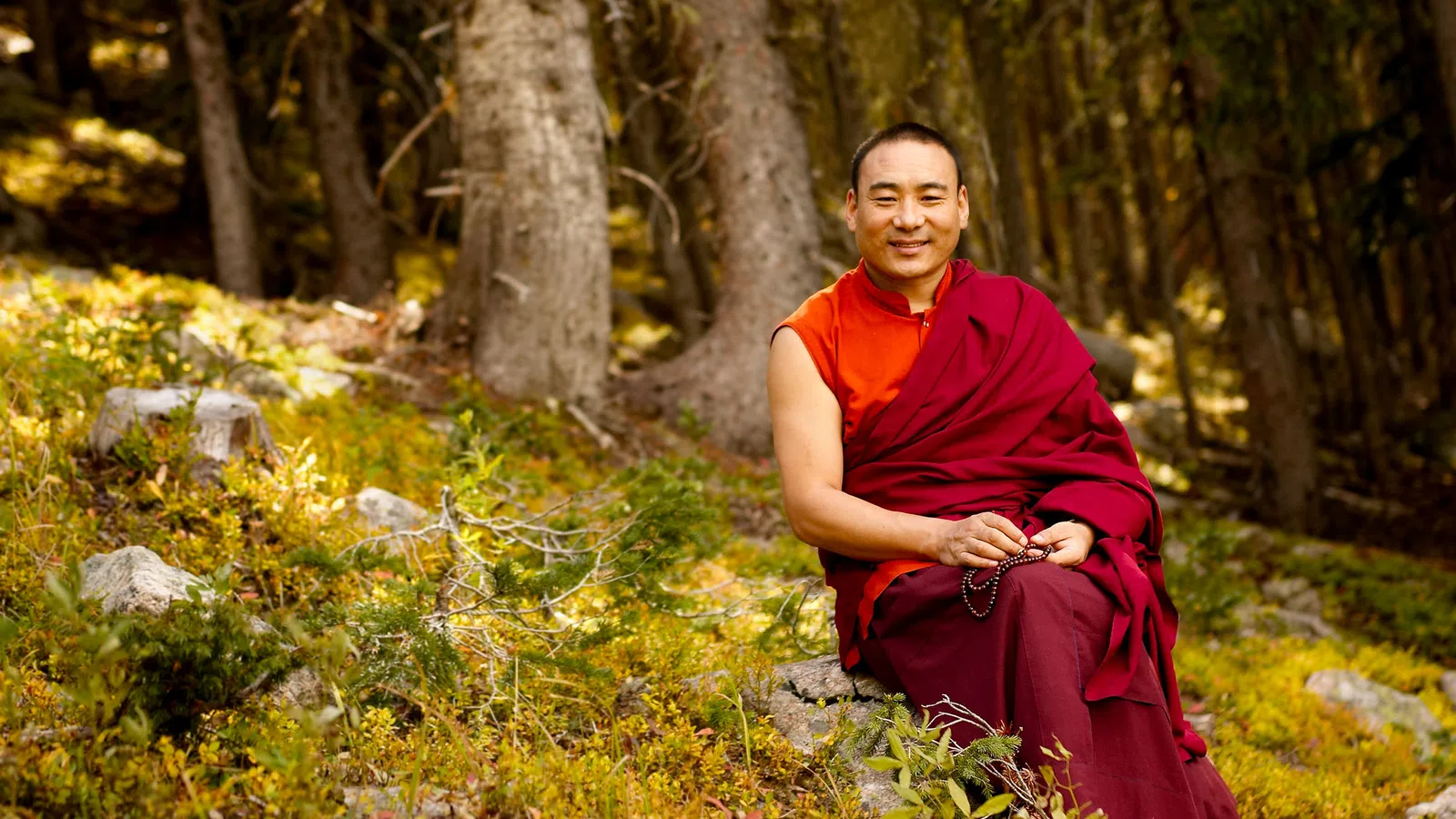 a person sitting on a rock in a forest
