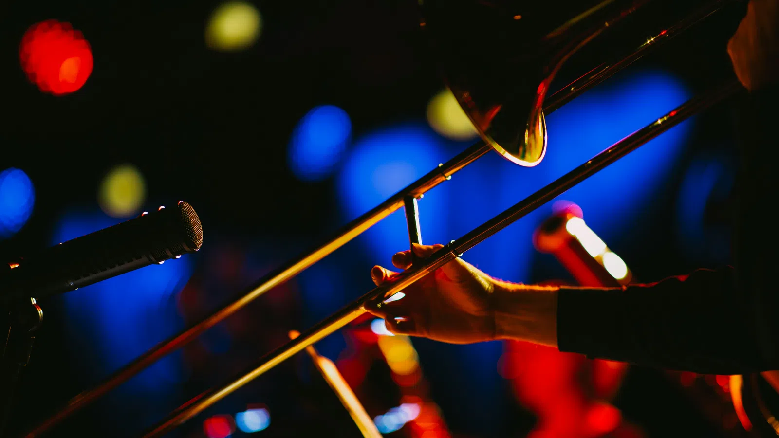 a person playing a musical instrument