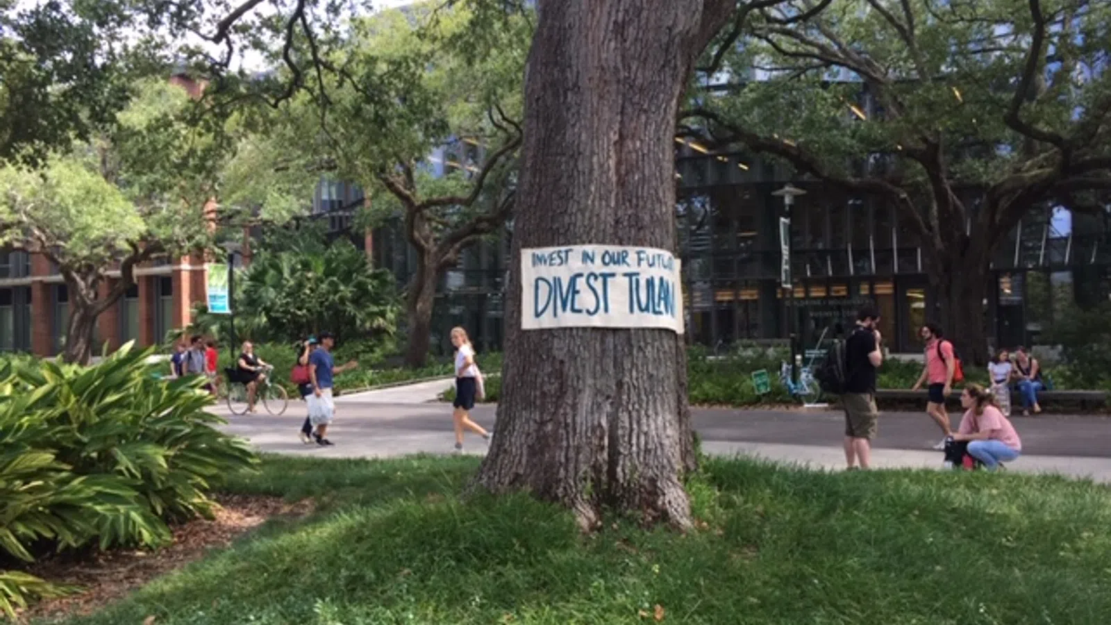 The Climate Strike at Tulane