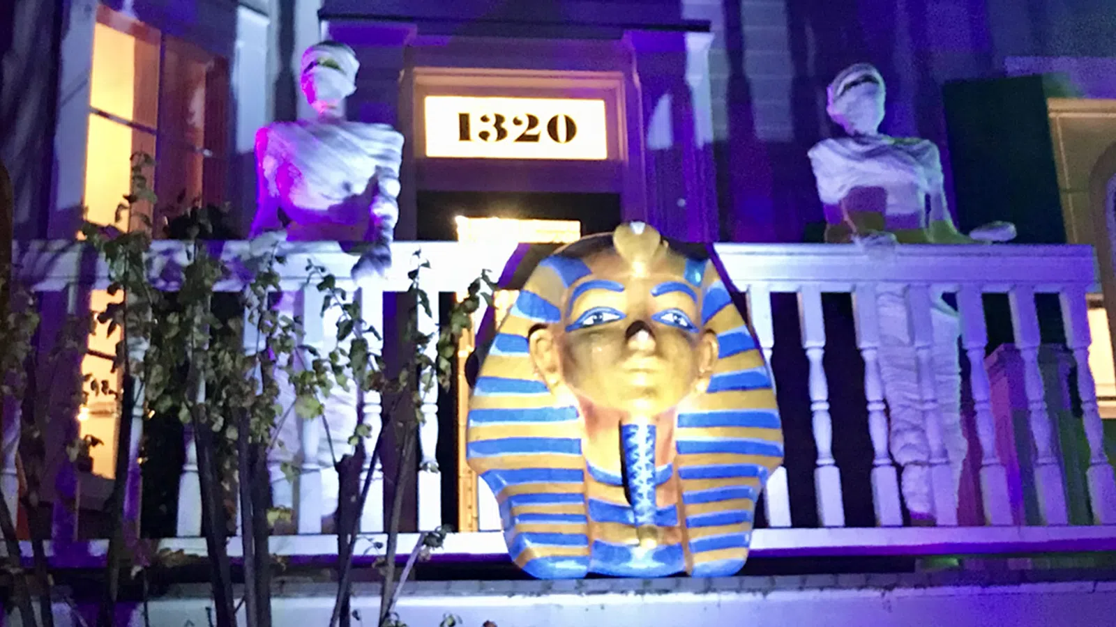 Krewe of House Floats, part 3