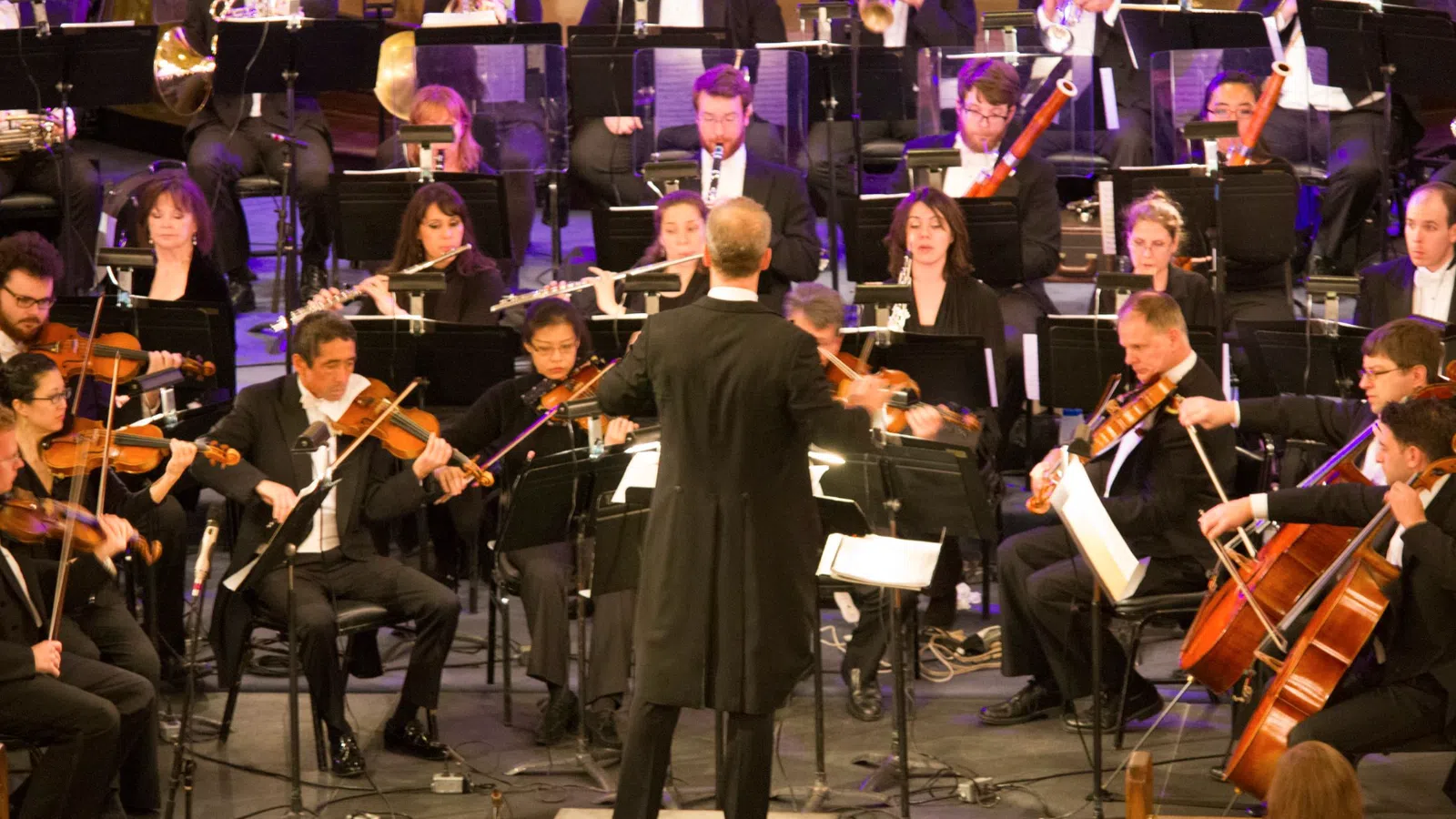 a person standing in front of an orchestra