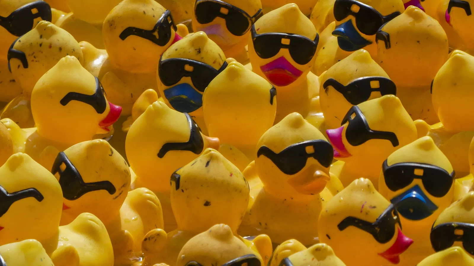 An Army of Rubber Ducks Overtakes Big Lake at City Park