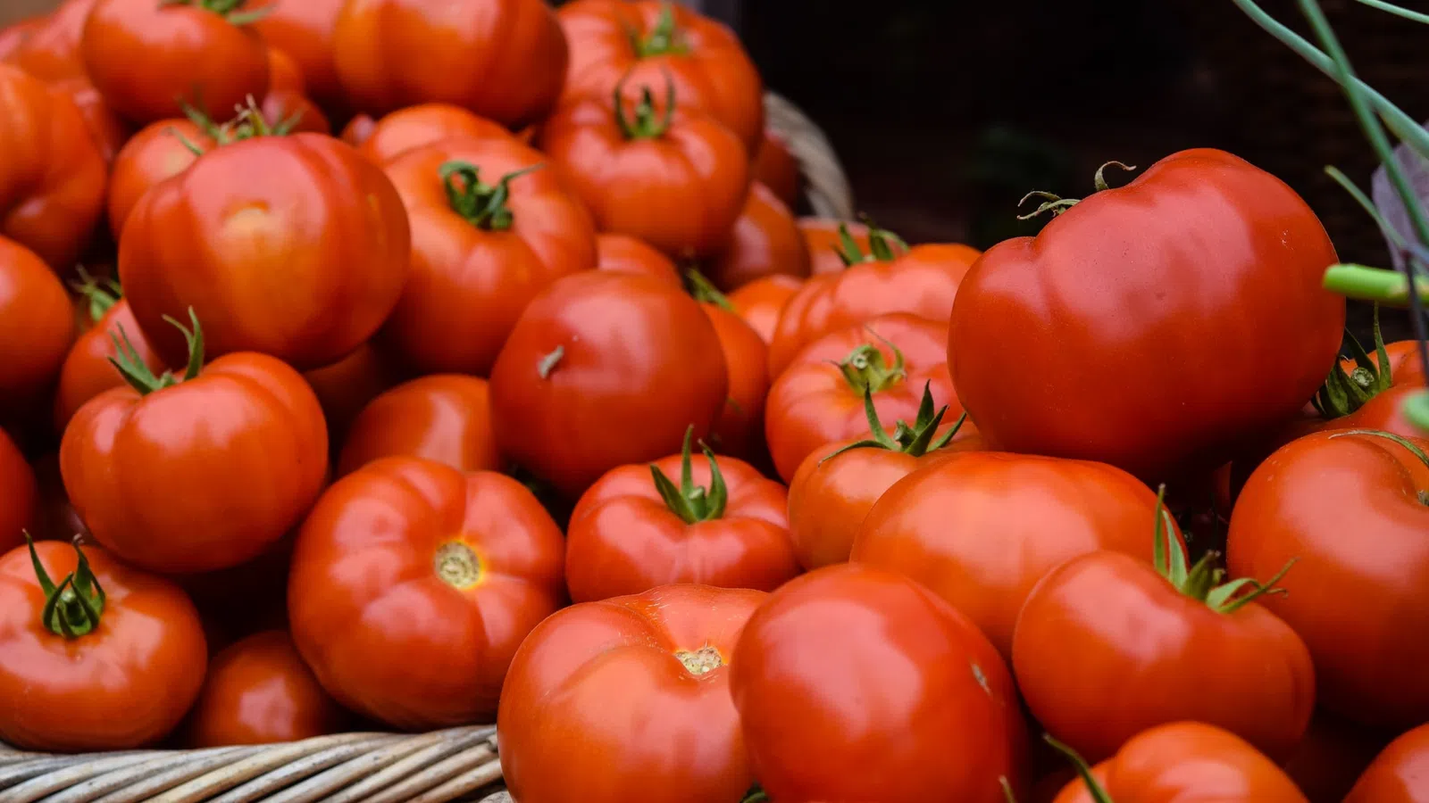 The Creole Tomato Festival is Going Virtual