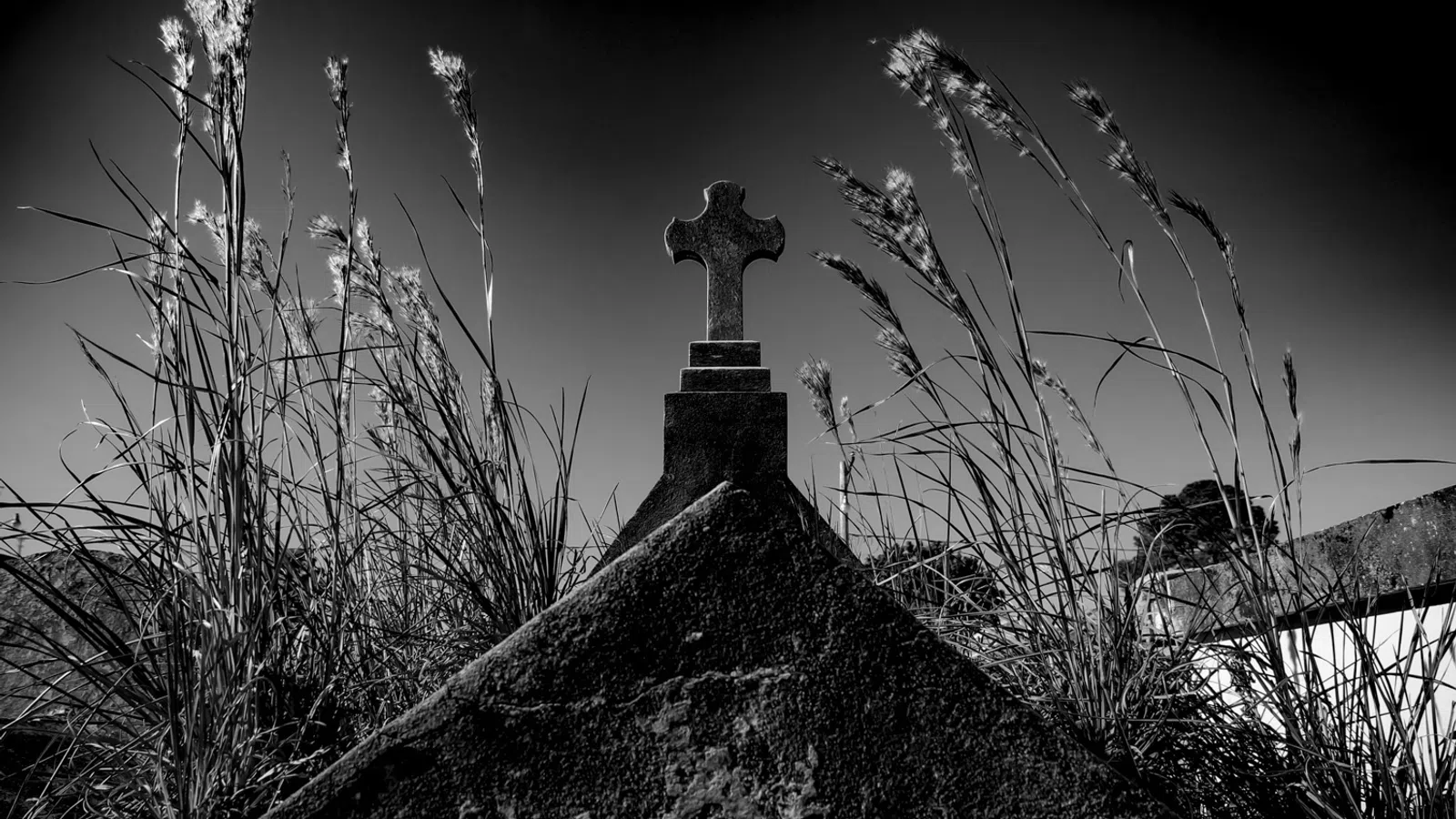 Dancing With Death: New Orleans?s Dark History